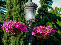 Madrid 036
