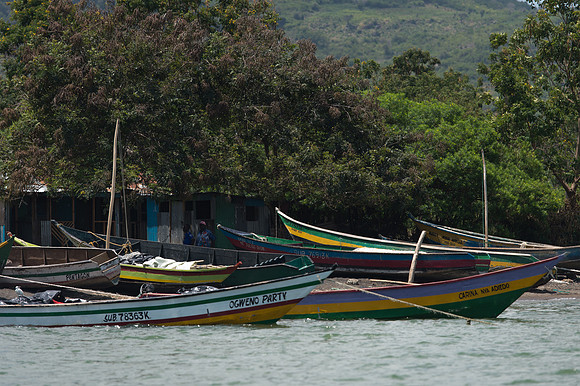 Fishing boats - Mfangano Island, Kenya