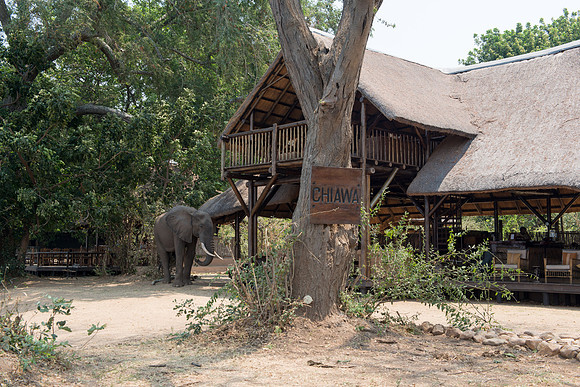 Chiawa Camp - Zambezi, Zambia