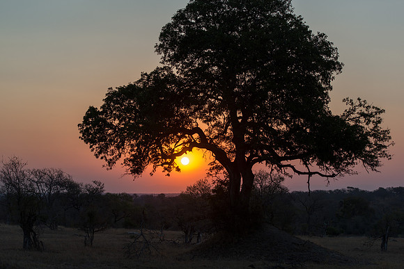 Mala Mala, South Africa