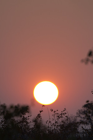 Sunset in Mashatu, Botswana
